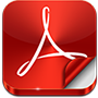 pdf icon web